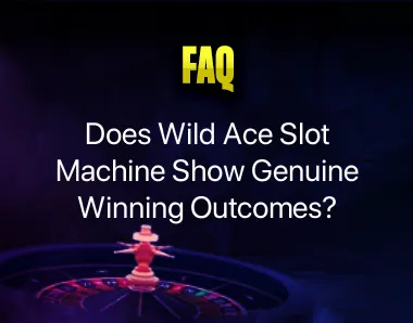 Wild Ace Slot Machine