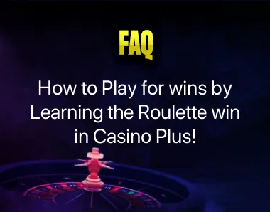 how to play the roulette wheel