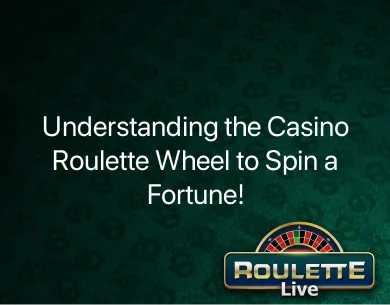casino roulette wheel casino roulette wheel