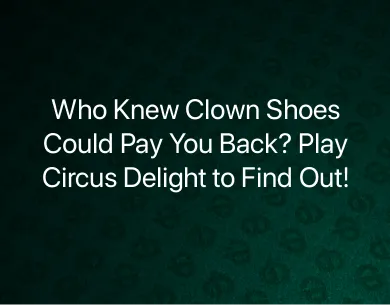 Play Circus Delight Play Circus Delight